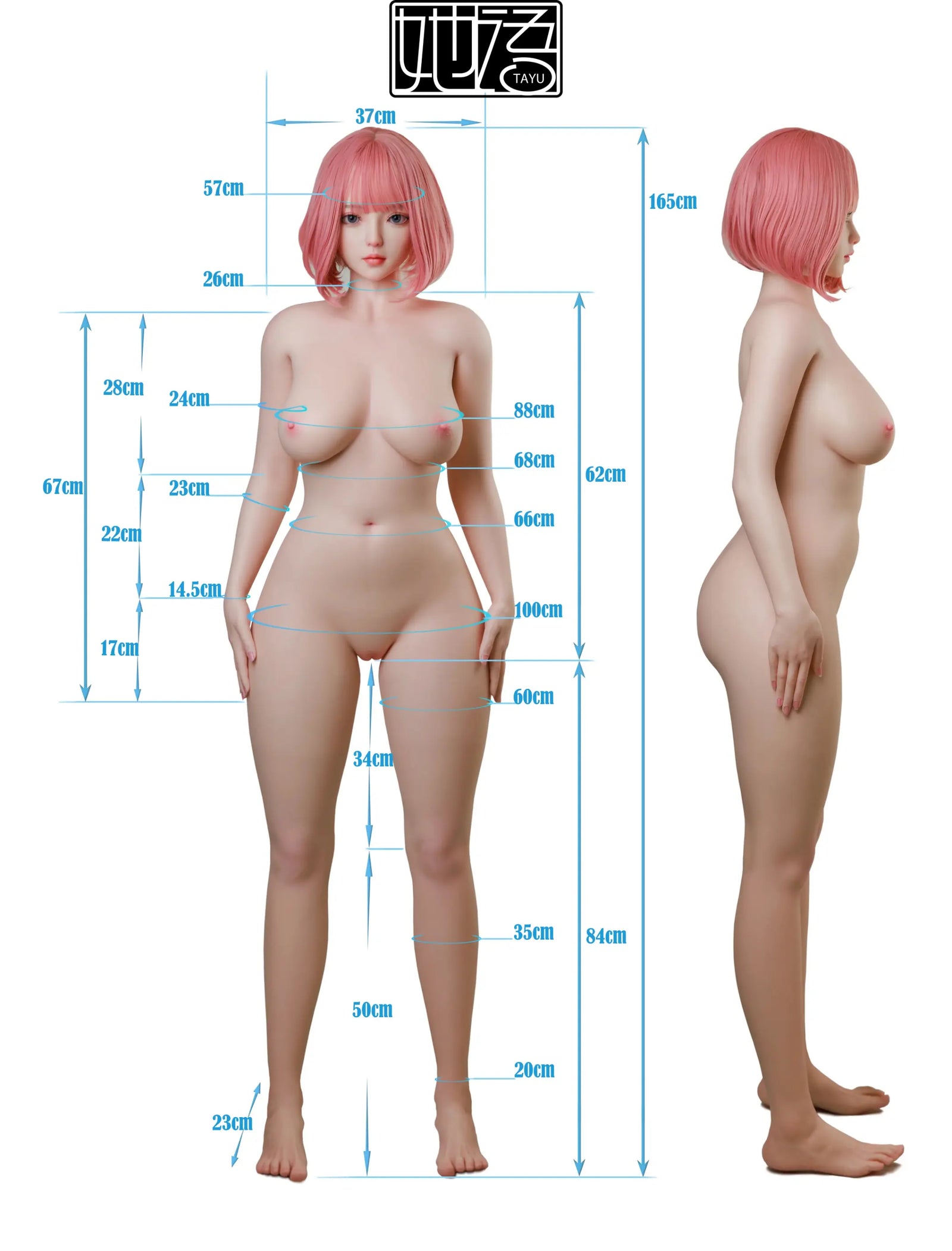 Lilia bambola del sesso (Tayu Doll 165 cm Coppa E ZC-25# Silicone)