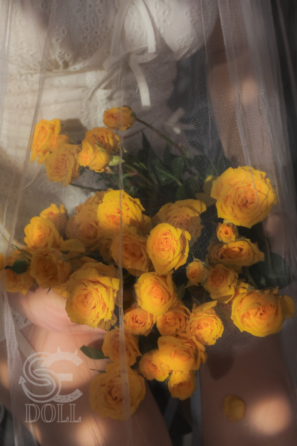 Vicky.K bambola del sesso (SEDoll T165cm Coppa C #020SO Silicone Pro)