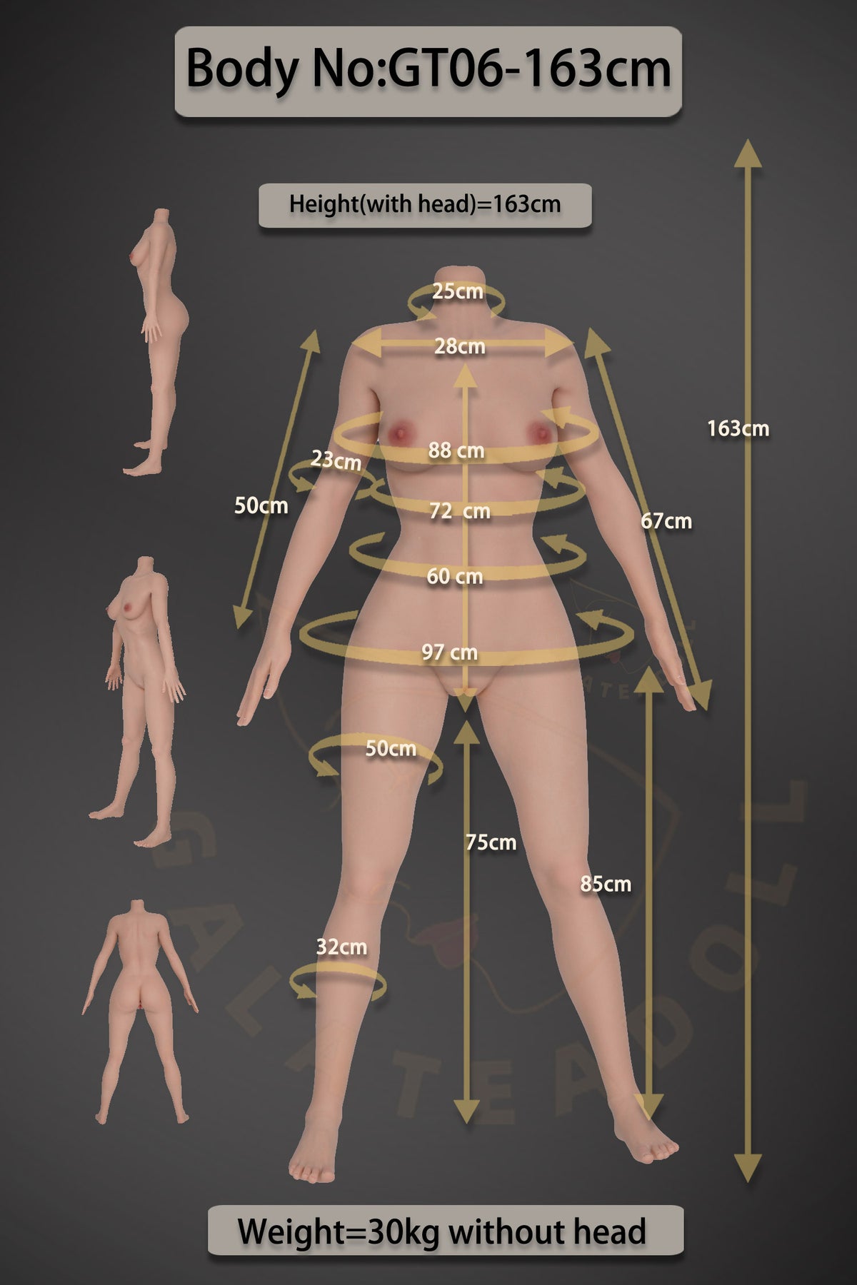 Samira poupée sexuelle (Galatea Doll 163cm Bonnet D #198 Silicone)