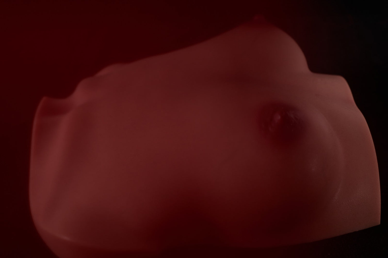 Poitrine (S) Torse poupée sexuelle (Climax Doll Bonnet Pro B Silicone)