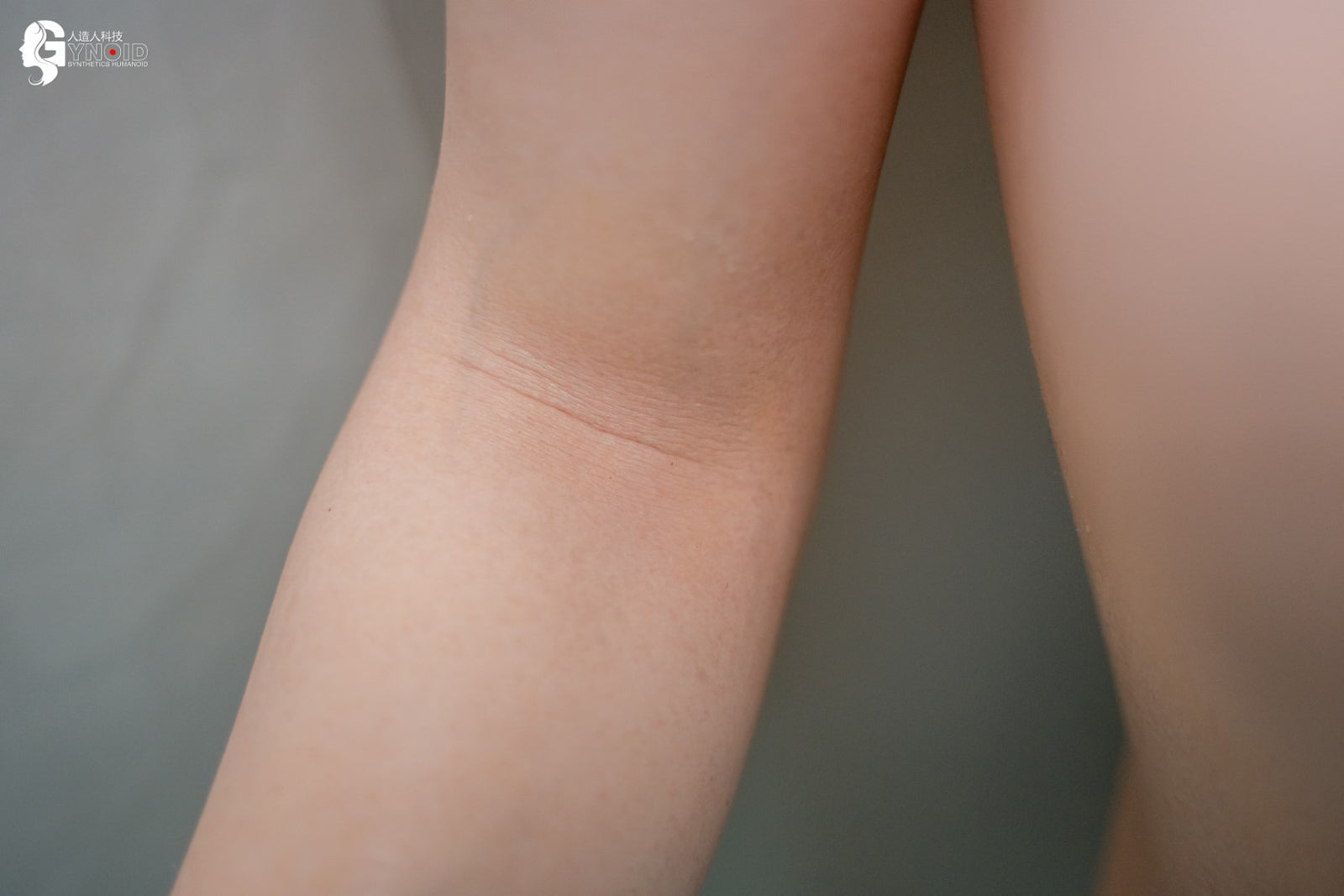 poupée sexuelle Leyla modèle 19R Deluxe (Gynoid Doll 168 cm F-Cup Silicone)