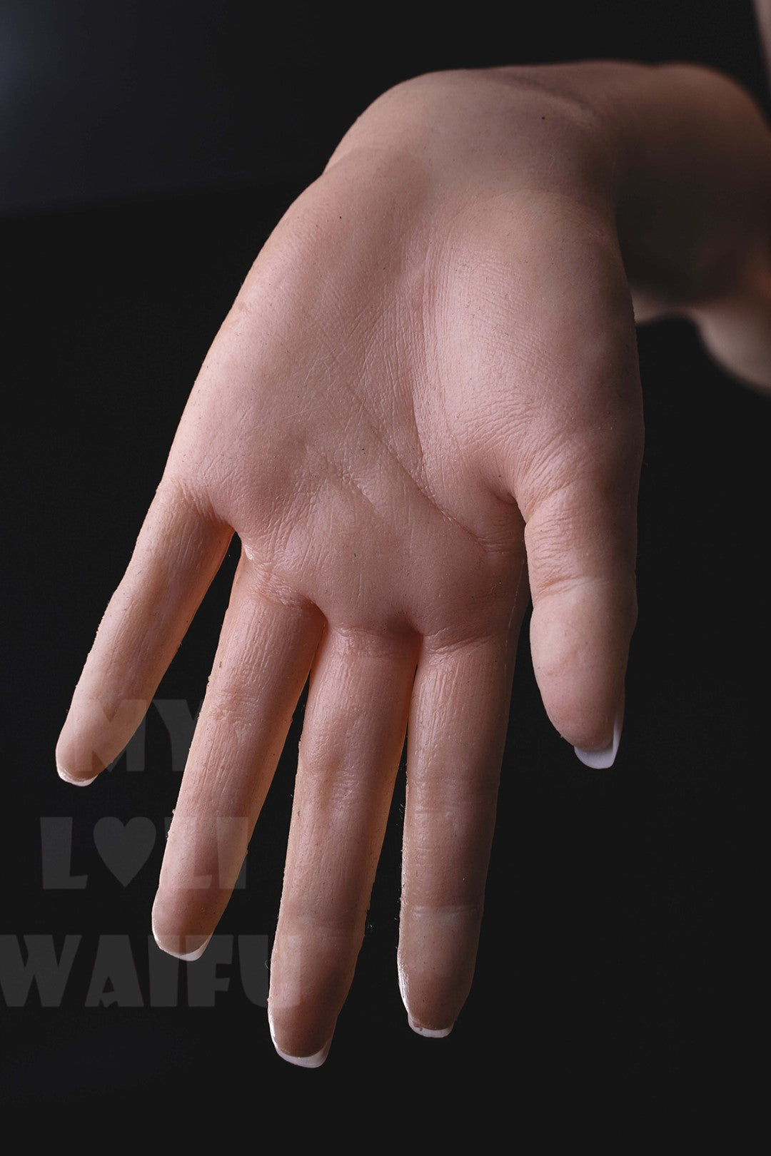 Ali Sex doll (My Loli Waifu 148cm B-cup #60 silicone)