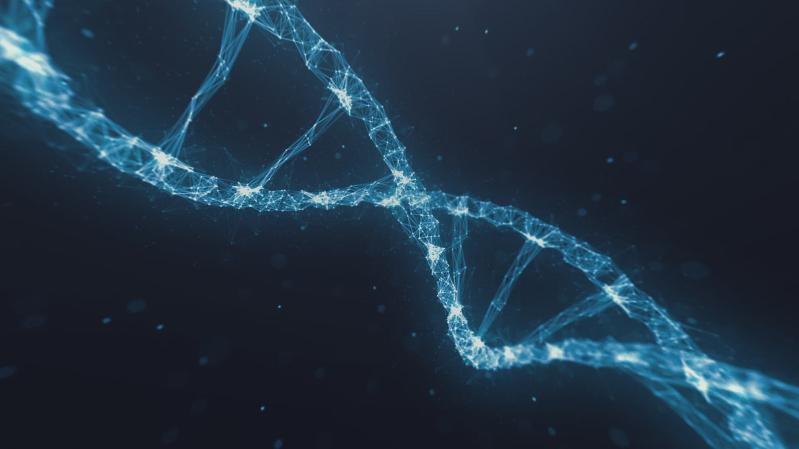 Akira poupée sexuelle (XT Doll 150 cm Bonnet D #XT-pantalon2 Silicone)