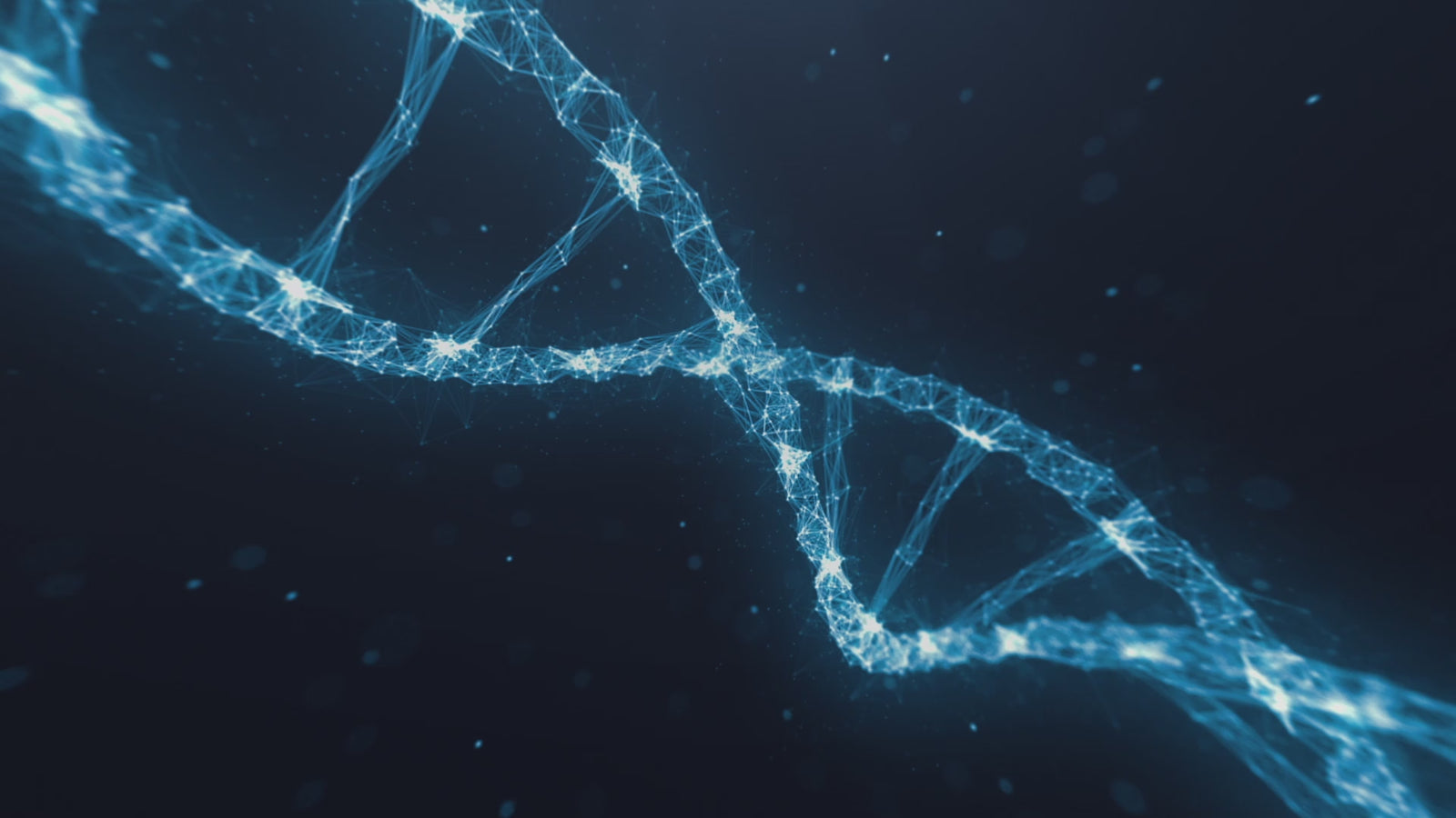 Bambola del sesso del gattino (XT Doll 150 cm Coppa D #XT-pants3 Silicone)