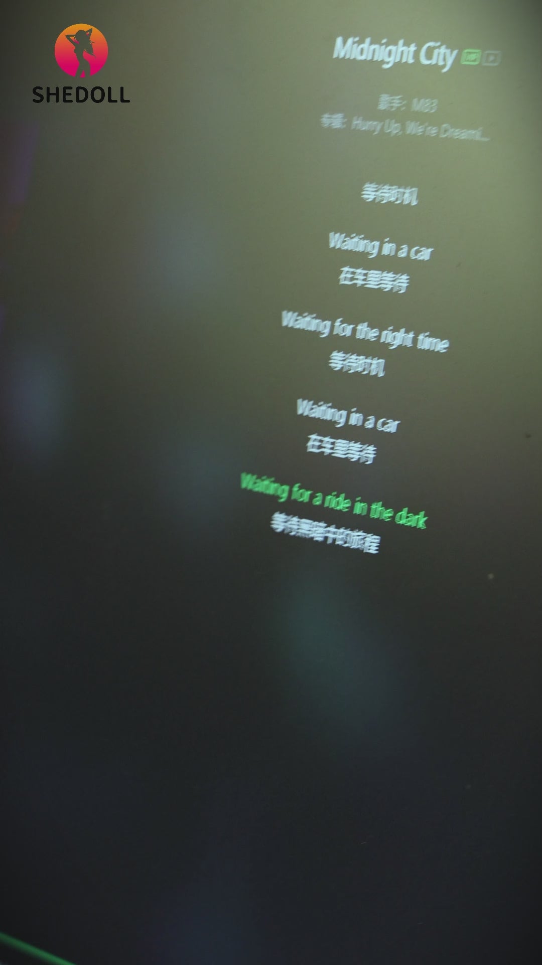 Kosame sexpuppe (SHEDOLL 170cm E-cup #SH146 2.0 TPE+Silikon)