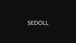 Jessie Sex doll (SEDoll 161cm f-cup #088 TPE)