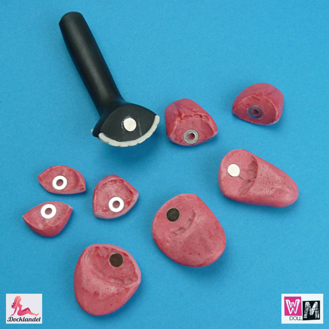 Ensembles de dents et de langue (WM-Doll)